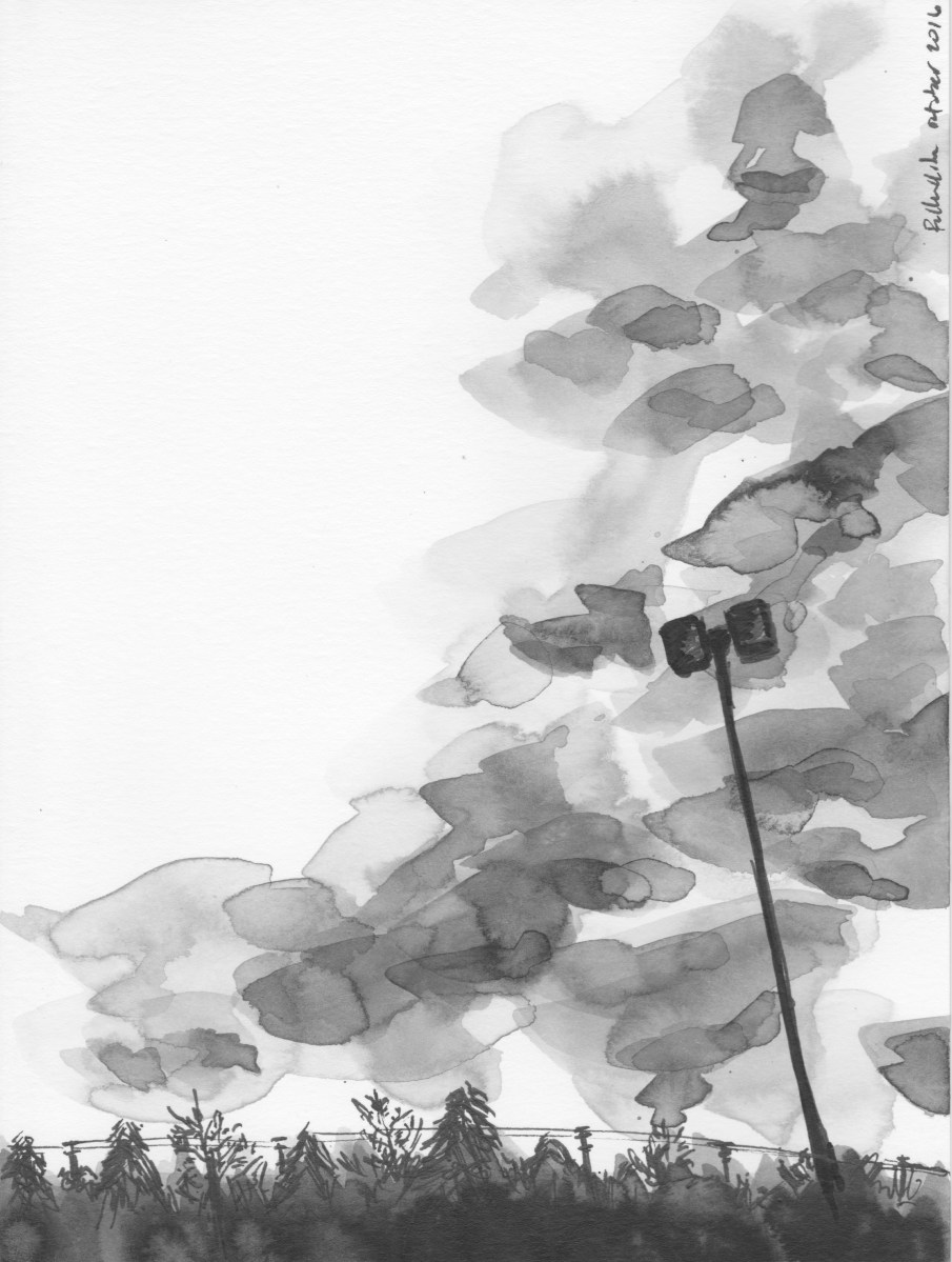 sketch, art, India, ink, brush, pen