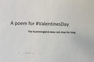 #ValentinesDay, Valentines Day, poem, Teh hummingbird does not stop for long, JP Fallavollita