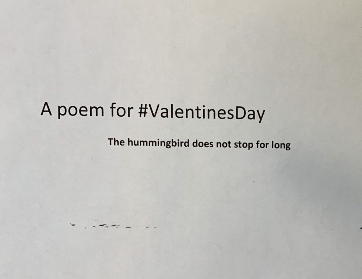 #ValentinesDay, Valentines Day, poem, Teh hummingbird does not stop for long, JP Fallavollita